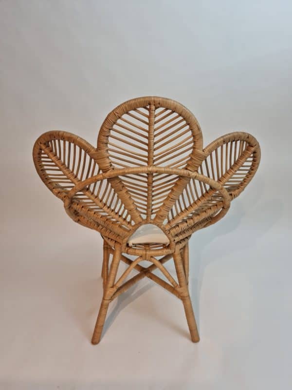 Peacock כיסא ראטן טווס מעוצב